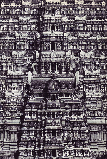 01-living-architecture-india.jpg